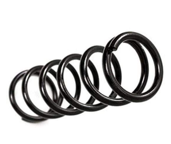Par Molas Dianteiras BDS Suspension “+2,5 cm” Grand Cherokee WJ Diesel - Image 2